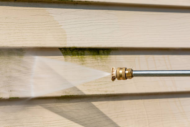 Best Deck Pressure Washing  in Monroeville, IN